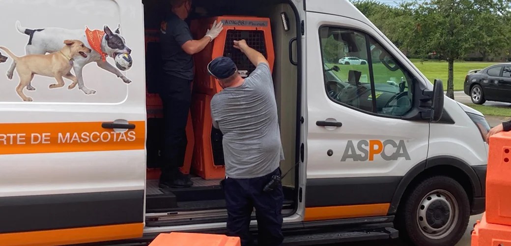 Its winds were down to 40 mph (64 kph) around midday monday. ASPCA Disaster Response: Assisting Animals Impacted by ...