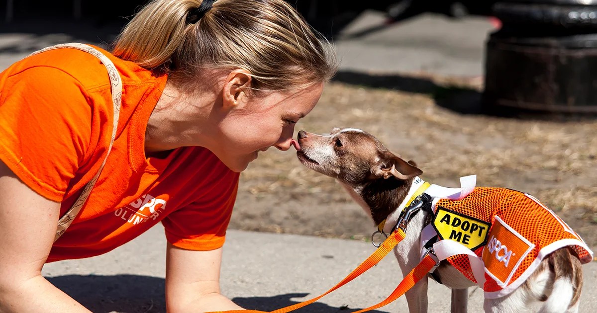 ASPCA (2026)