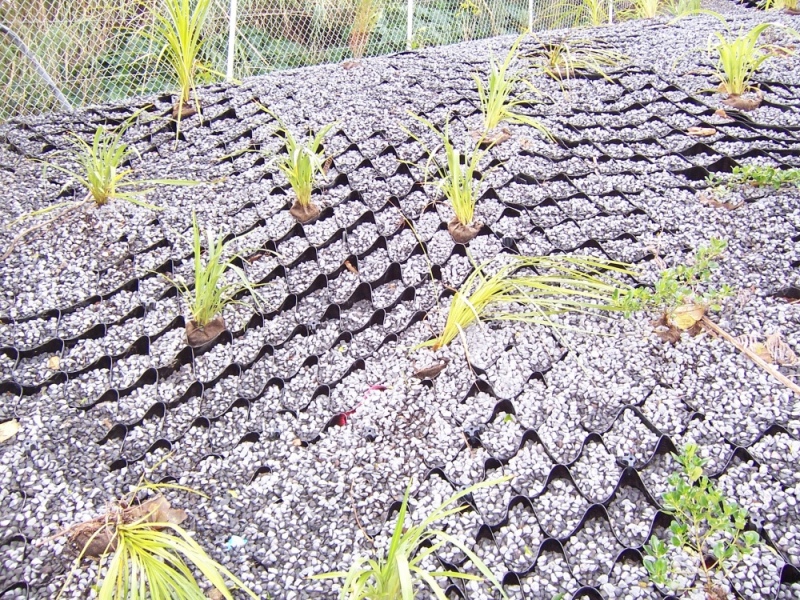 Products Aspect Environmental Lining - Premium Vintage Design Gallery - Ultra HD