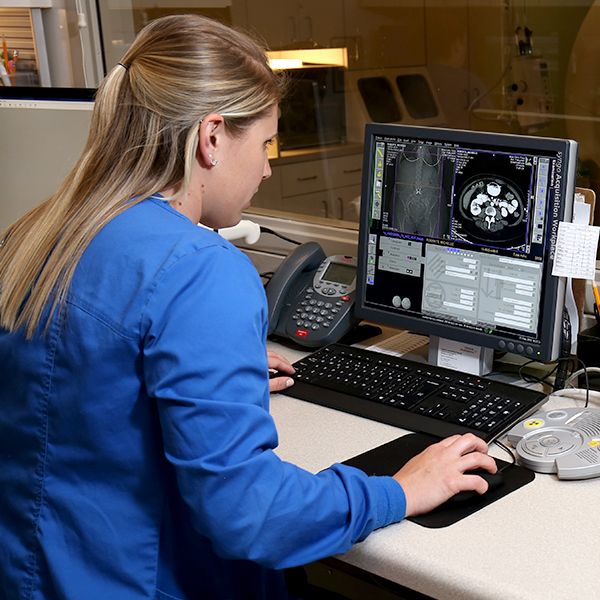 Keep reading to learn how to f. Diagnostic Medical Imaging Careers - mri scan machine