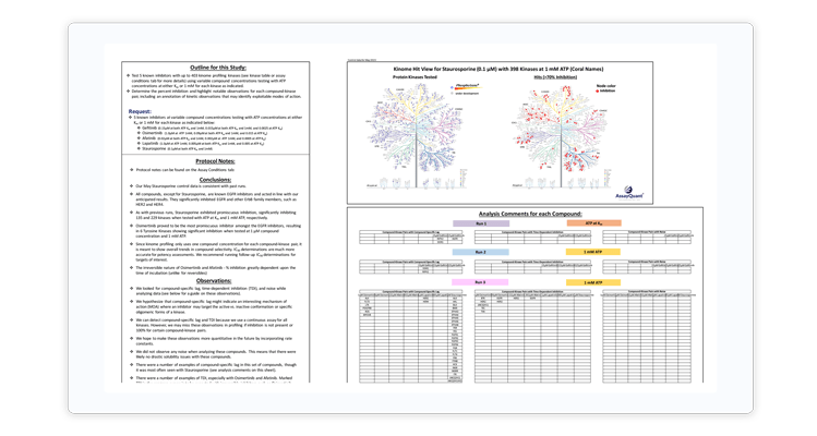 Kinsight Quantitative Kinome Profiling Services Assayquant - Beautiful 8K City Textures | Free Download