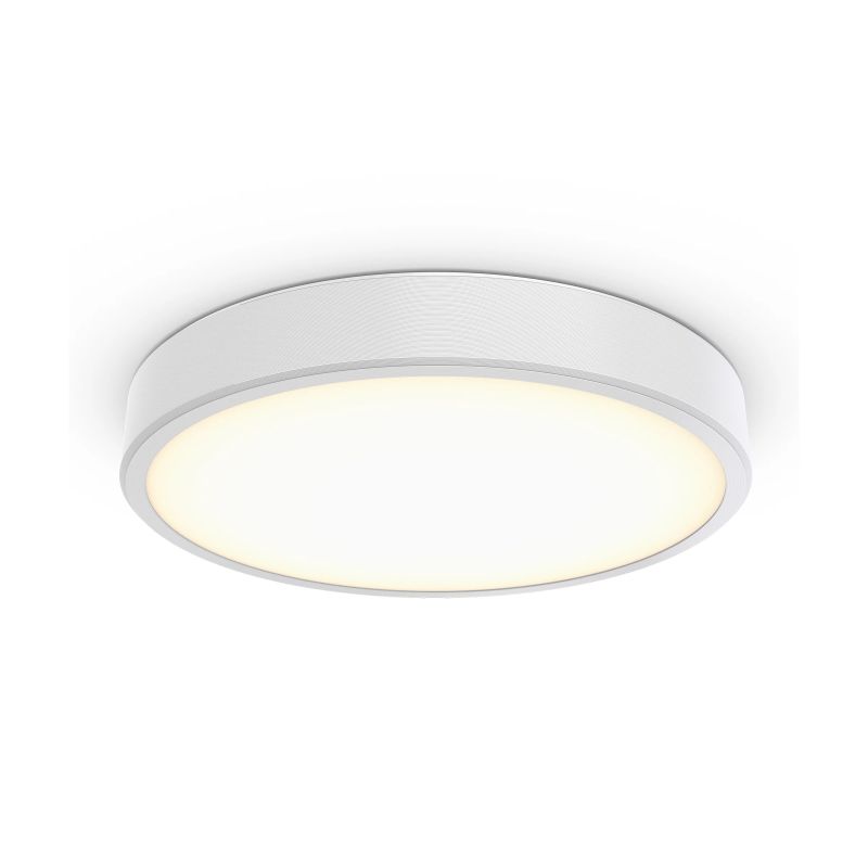 Surface Mounted Philips Lighting - Light Images - Premium HD Collection
