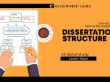 Dissertation Structure How To Write A Dissertation
