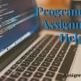 Programming Assignment Help, Programming Tutors, Programming Languages Help