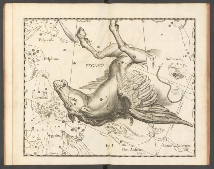 O cavalo alado Pégaso (sim, é mesmo assim, invertido).