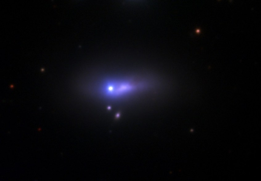 A supernova SN2012cg na galáxia NGC4424 próximo do máximo de brilho. Crédito: Peter Challis/Harvard-Smithsonian CfA.