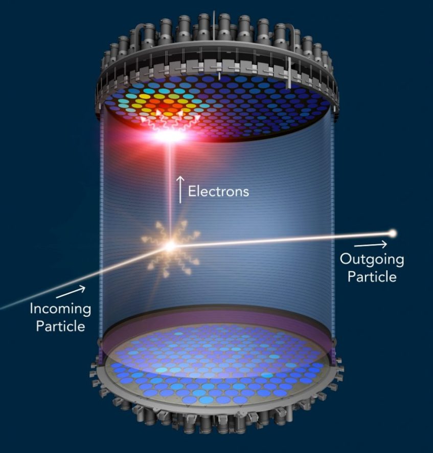 O detector do LUX, cheio de xenon líquido, tem uma barreira de foto-detectores ultra-sensíveis capazes de detectar fotões emitidos na colisão de WIMPs com os átomos de xenon. Crédito: SLAC National Accelerator Laboratory.