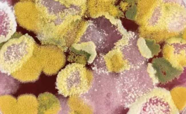 Atens | Natural Agrotechnologies Atens