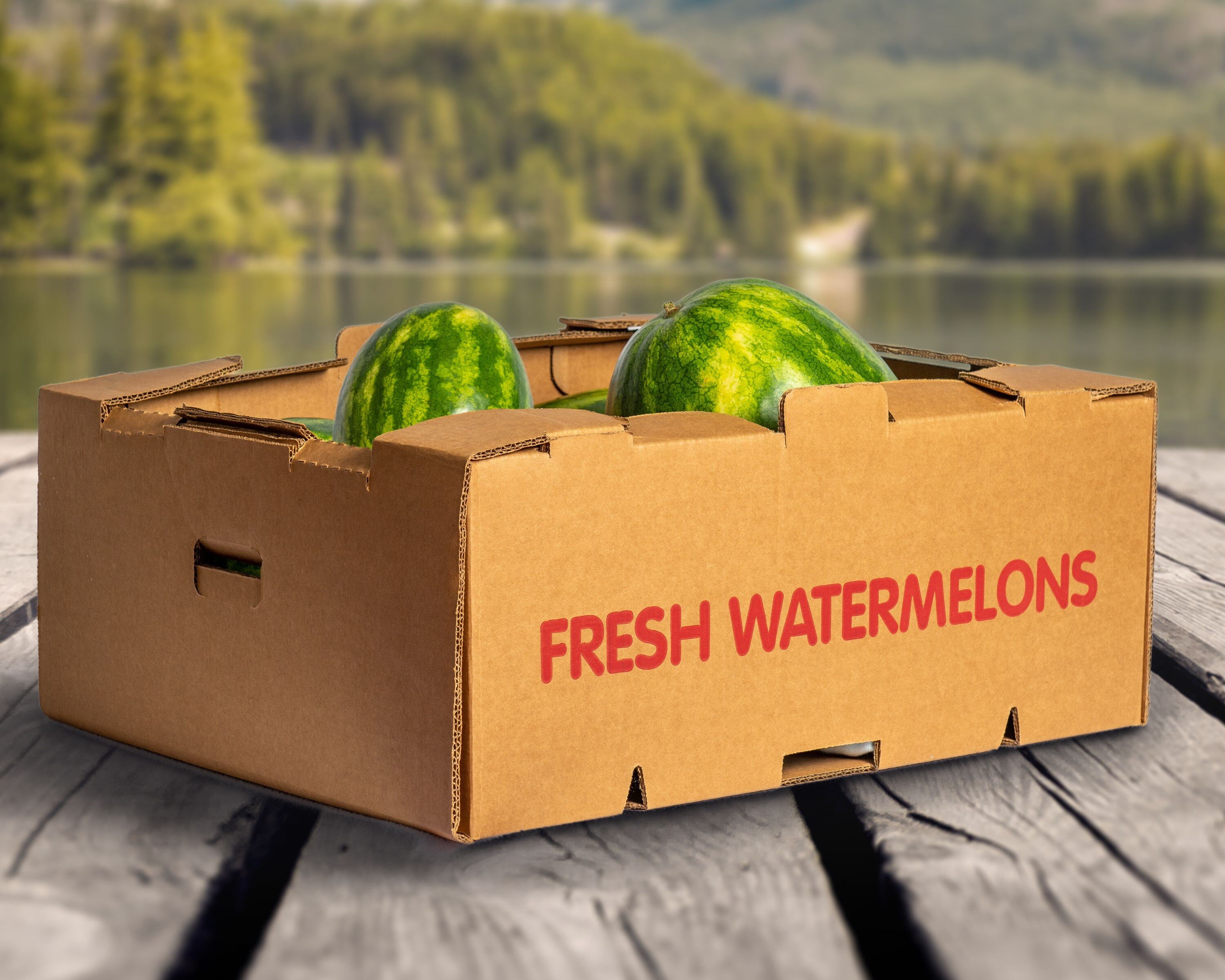 Agricultural Bulk Container Sinoplastic - Geometric Textures - Artistic 4K Collection