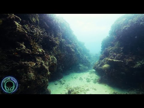 SOMETHING Is Down UNDER The Water..