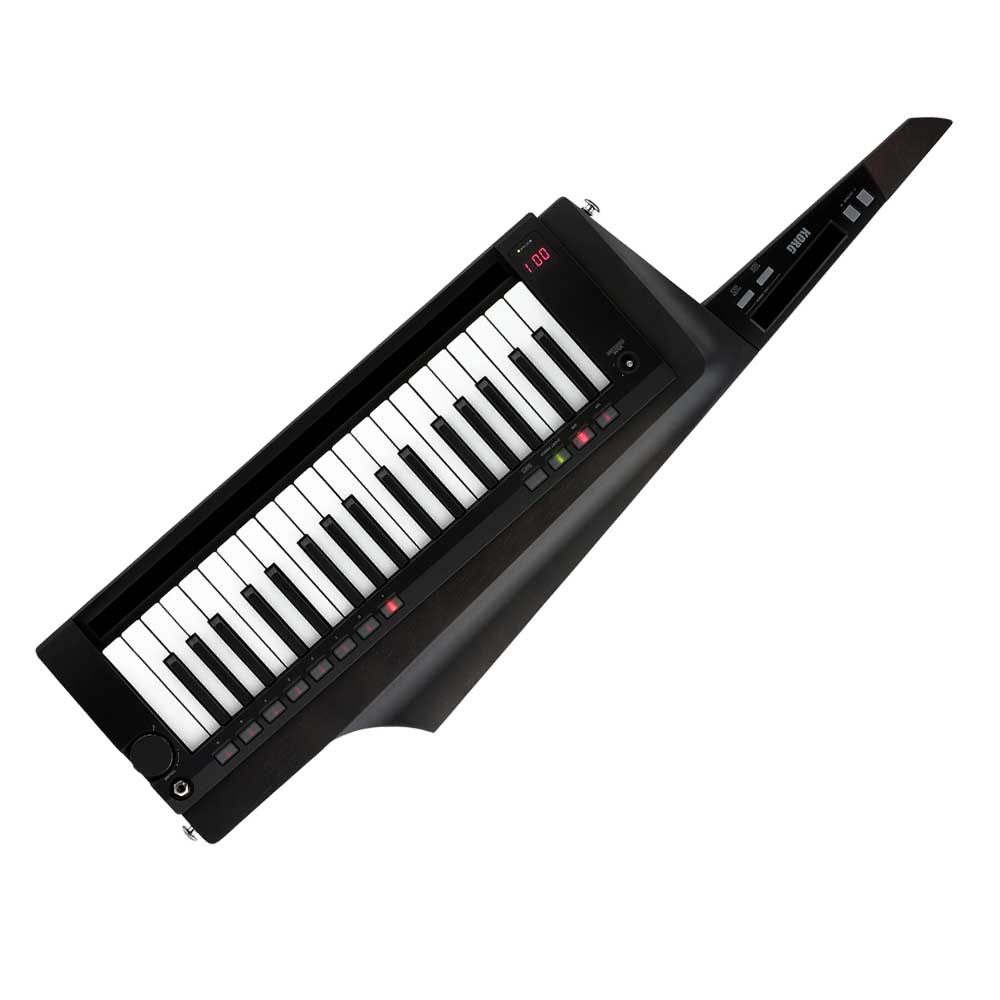KORG RK-100S Teclado de 37 teclas negro