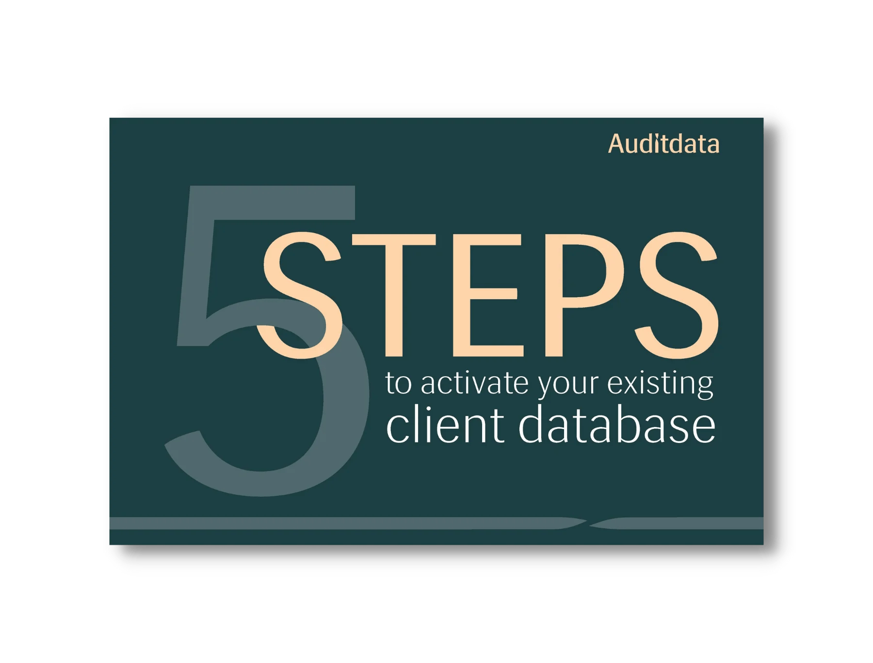5 Steps To Activate Your Existing Client Database Auditdata - Light Texture Collection - 8K Quality