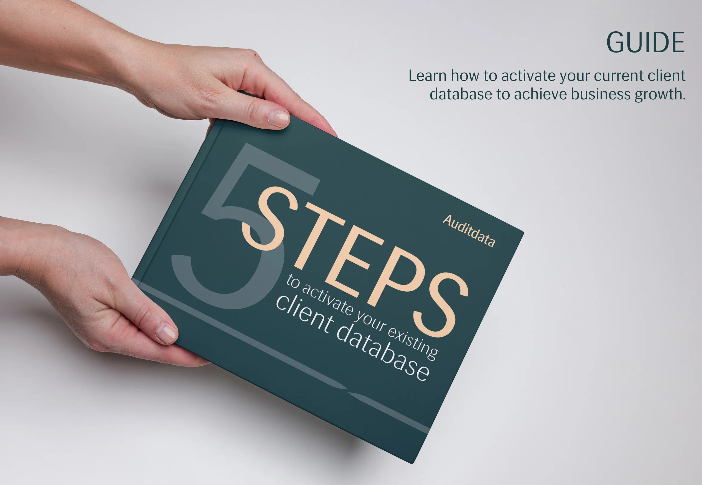 5 Steps To Activate Your Existing Client Database Auditdata - Premium Geometric Pattern Gallery - Retina