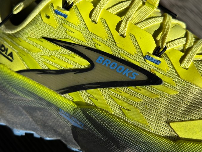 Brooks, Cascadia 19, Test, review