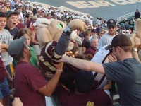 Bobcats, Bears, and Boko