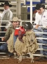 Luv Doc Recommends: Mutton Bustin’ at Rodeo Austin