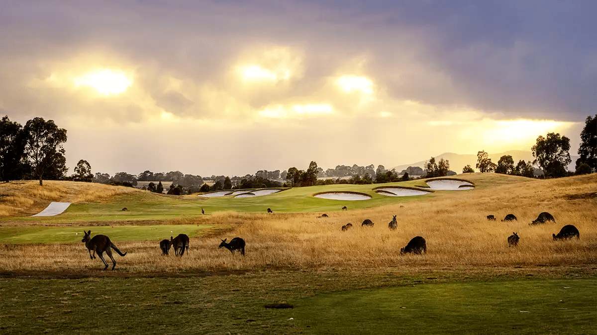 Unveiling the Top 100 Golf Course: Eastern Golf Club's South Course (2026)