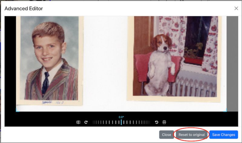 Autocropper Autocropper Adjusting Settings - Classic Light Background - 8K