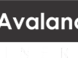 Avalanche Refineries Pvt Ltd