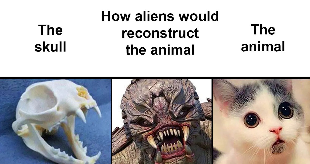 Like the video and subscribe for morecredits (p. People Are Sharing How Aliens Might Reconstruct Animals