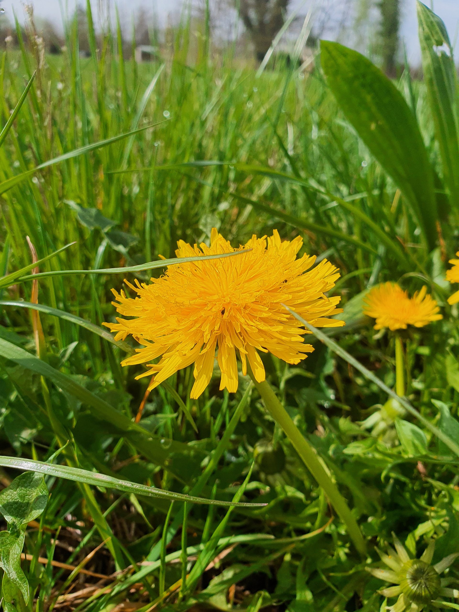 Stepping Into Spring