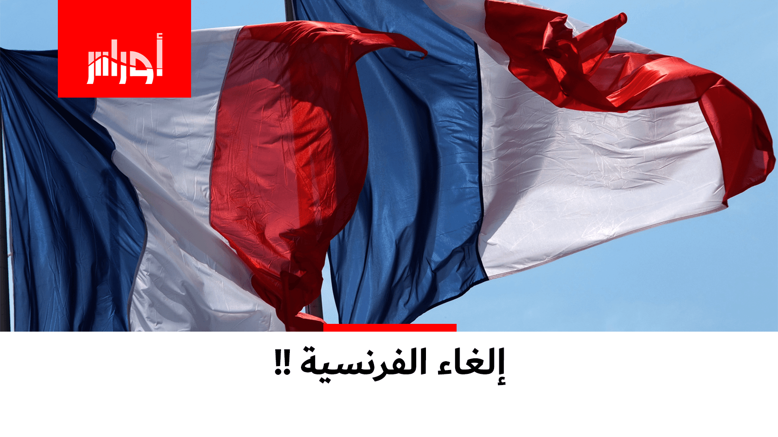 ماذا يحدث للفرنسية في الجزائر؟.. قرار جديد من وزارة التربية!