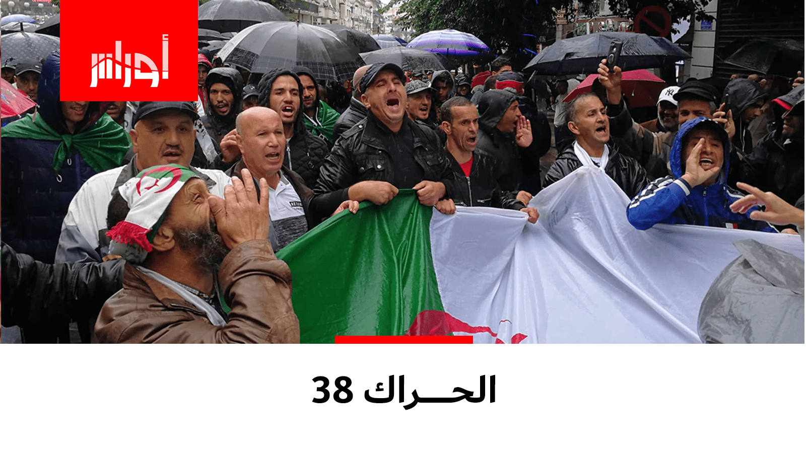#شاهد أبز الصور من حراك الجمعة 38