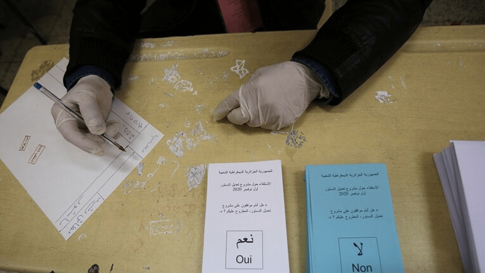 فنيش يكشف موعد الإعلان عن النتائج النهائية للاستفتاء الدستوري