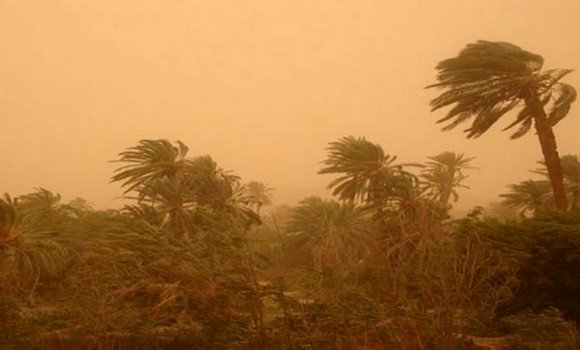 رياح قوية في 14 ولاية