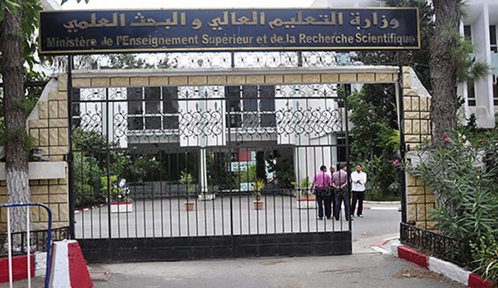 تكييف نظام “أل أم دي” لمواكبة مستجدات سوق العمل