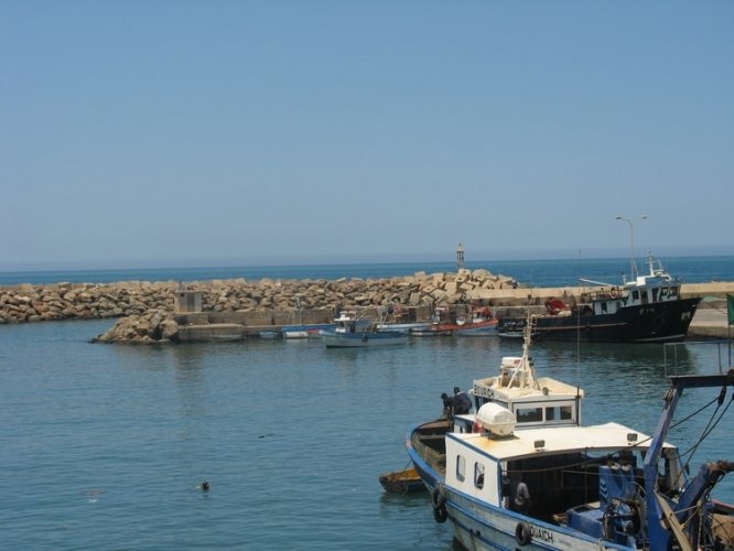 العثور على الصيادين المفقودين بتيبازة