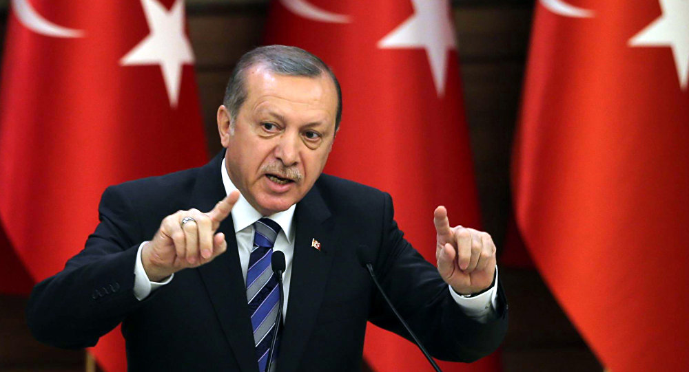 أردوغان: جاهزون للتعاون الأمني والعسكري ضد الإرهاب بإفريقيا