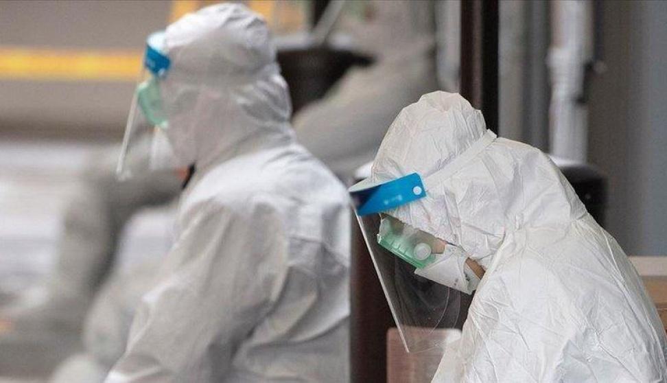 الإصابات اليومية بكورونا في الجزائر تستقر فوق الألف