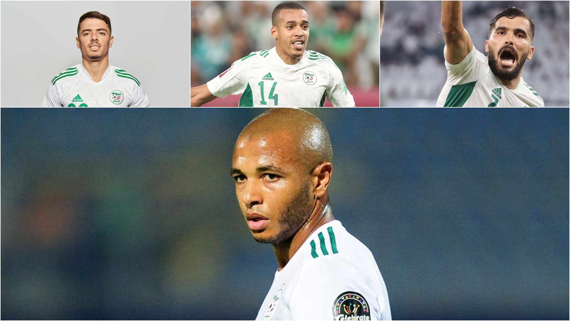 قائمة بلماضي لكأس إفريقيا.. مهمة صعبة وهذا رأيي