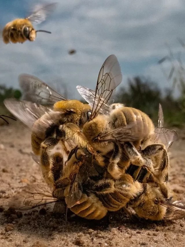 مسابقة الصورة الكبرى.. أجمل صور 2022