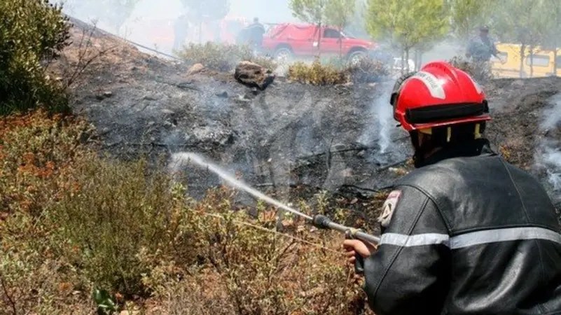 وفاة 37 شخصا في حرائق الغابات ومشاهد مروعة شرقي الجزائر