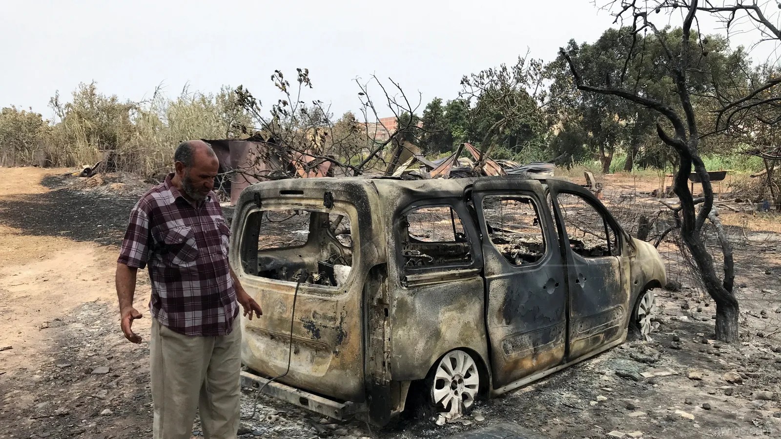 حرائق الغابات.. بلجود يأمر الولاة بالتسريع في ضبط الخسائر