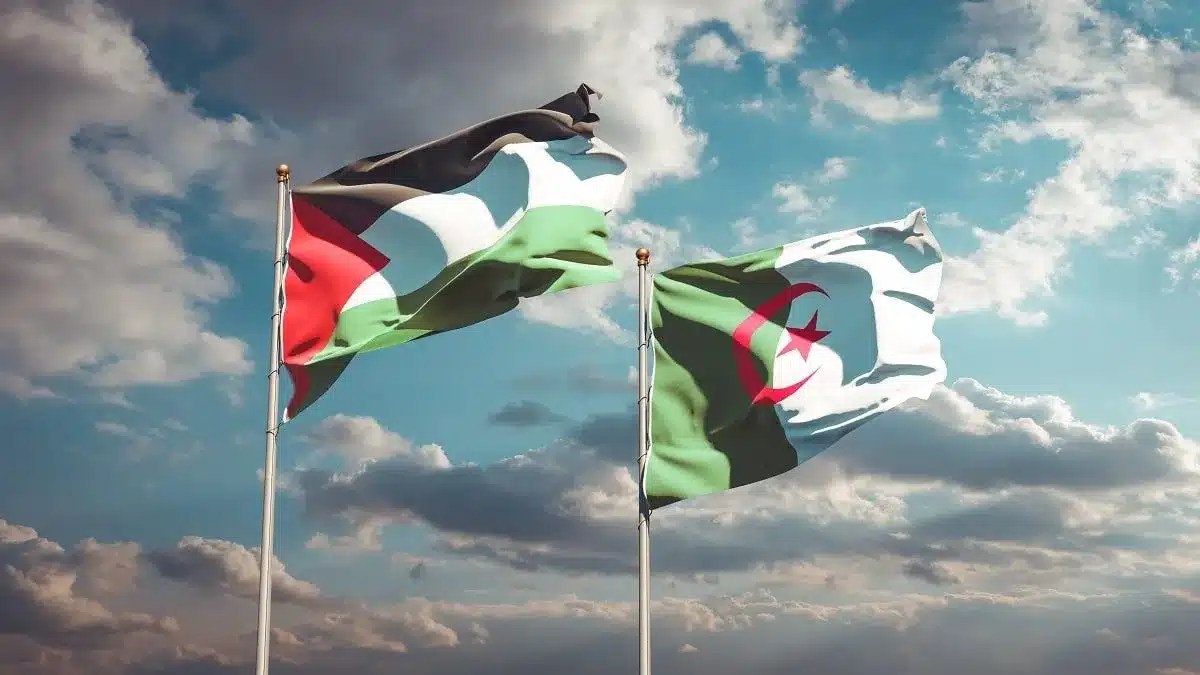 نزع علم فرنسا ورفع علمي الجزائر وفلسطين ببلدية فرنسية.. عمدة شوليه يصعد