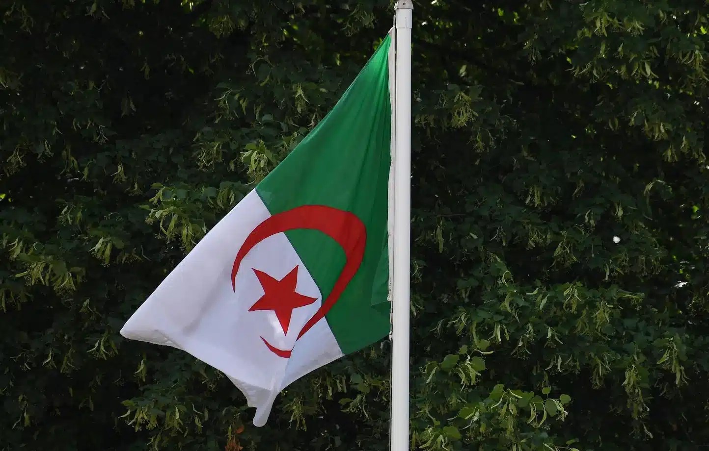 زيارة مفاجئة لوفد فرنسي رفيع إلى الجزائر