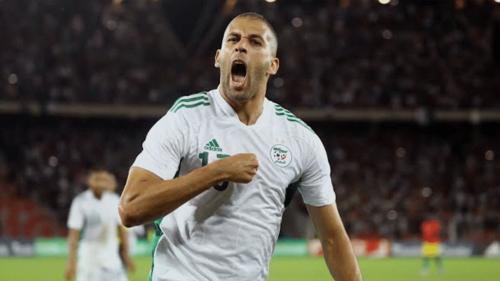 من هو أفضل لاعب في تاريخ الجزائر؟.. سليماني يُجيب