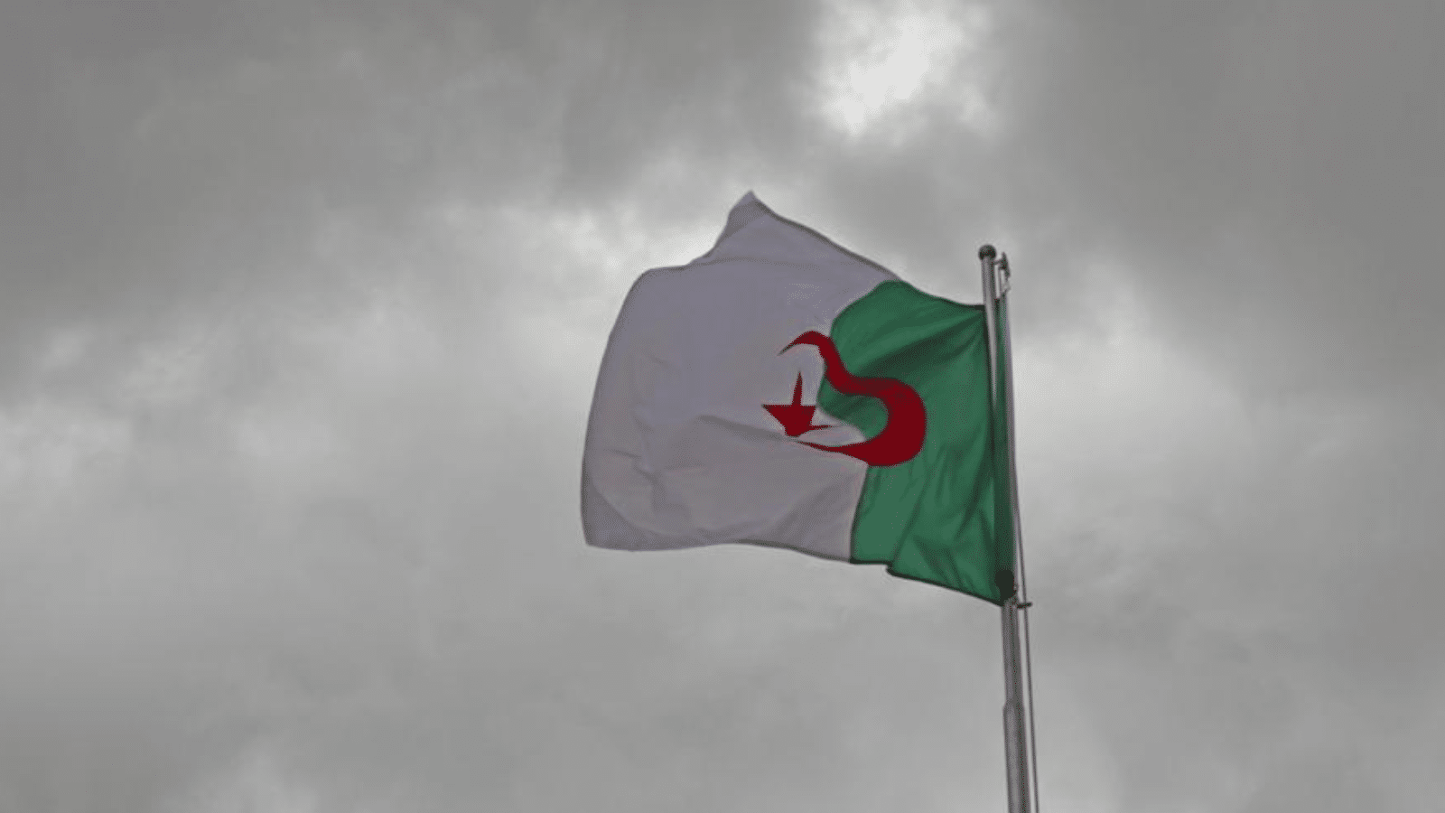 10 سنوات سجنا نافذا لشخص دنّس العلم الوطني