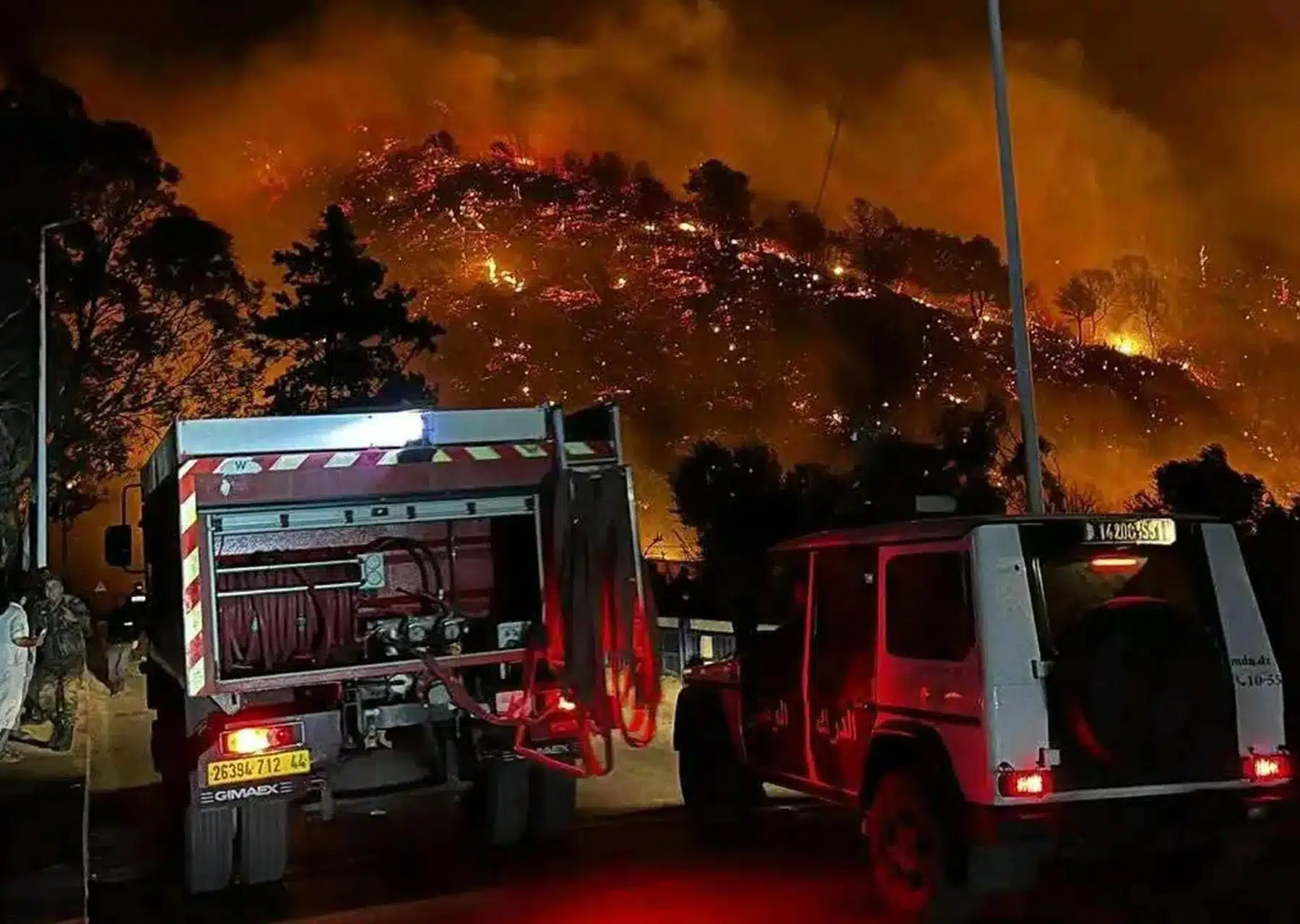 سطيف والجزائر وسكيكدة.. حصيلة جديدة لحرائق الجزائر