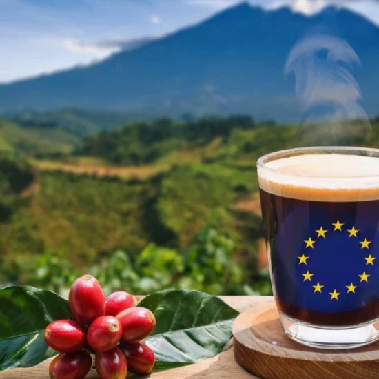 EUDR_traders EUDR_traders