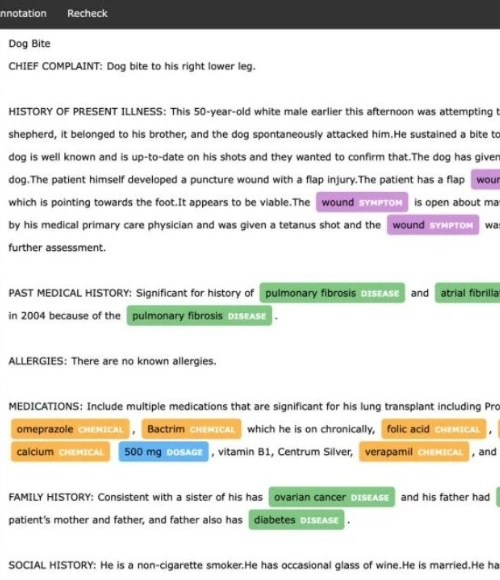 Natural Language Annotation,NLP Annotation Services,NLP,Language Annotation Services,NLP Annotation,NLP Projects