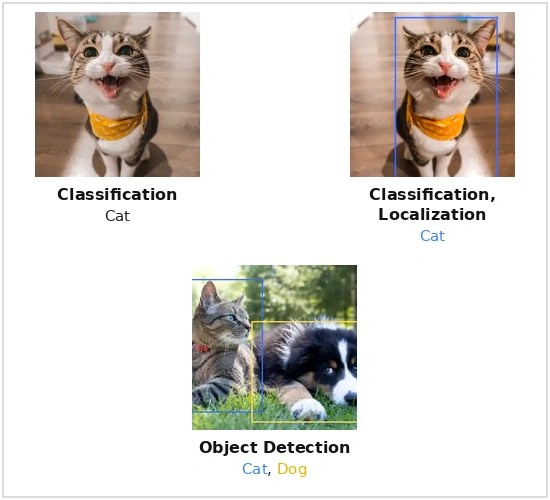 Image Classification & Tagging