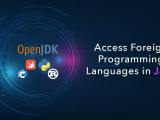 Accessing Foreign Programming Languages In Java With Project Panama