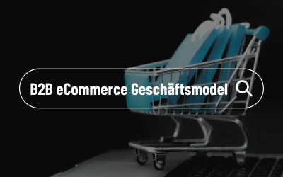 Im B2B eCommerce stehen unterschiedlichste Geschäftsmodelle zur Wahl. Worauf es bei Ihren eCommerce Erfolg ankommt.