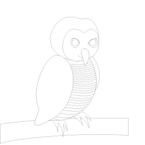 Eule Ausmalbilder Kostenlos Eulen Malvorlage
