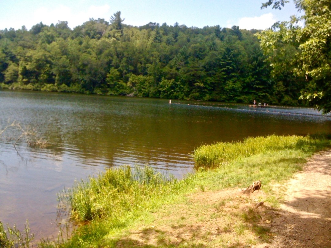 Lake Winfield Scott Platform - North Georgia Swimming Holes & Waterfalls You Can Swim In