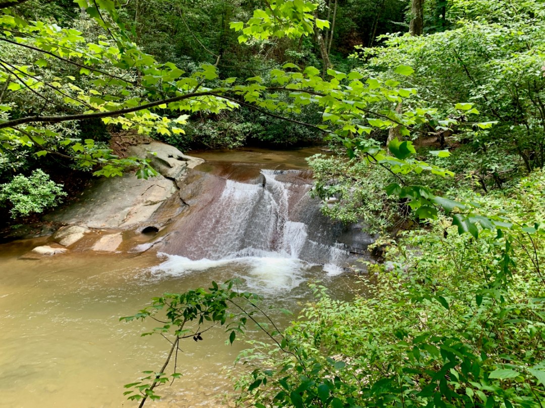 Wildcat Creek Sliding Rock - North Georgia Swimming Holes & Waterfalls You Can Swim In